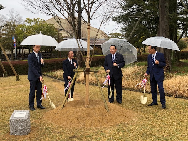 神戸三田キャンパスに５学部再編記念の桜を植樹