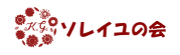 【開催レポート】KGソレイユの会　第4回講演会報告（5月28日）