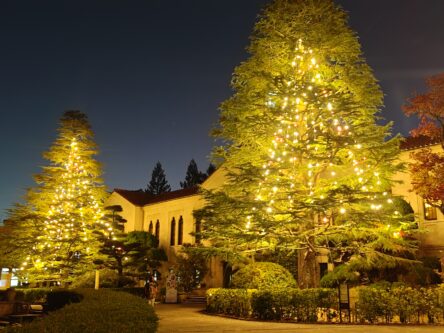 同窓会本部事務局冬季休暇（１２／２４　１２時～１／５）について