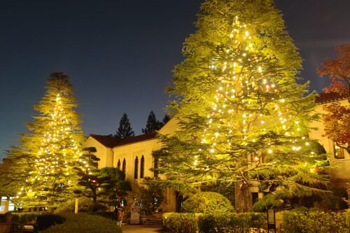 同窓会本部事務局冬季休暇（１２／２４　１２時～１／５）について