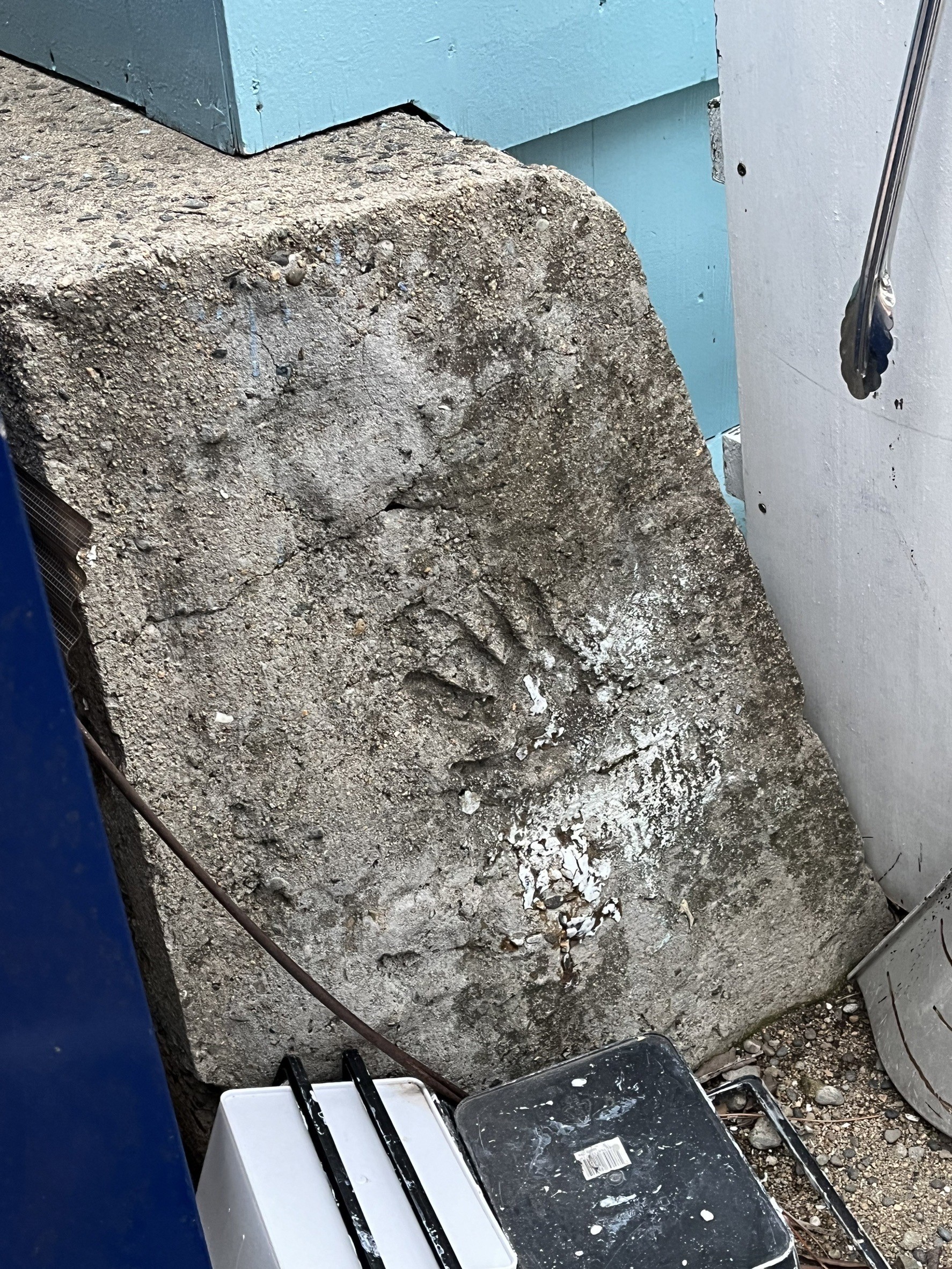 中澤早木子手形)