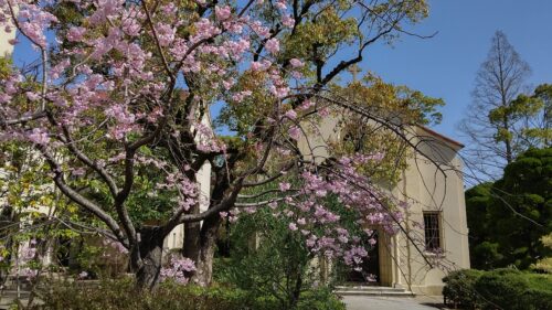 母校通信のお届けについて