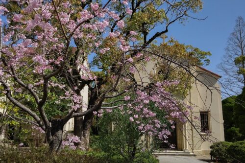 母校通信のお届けについて